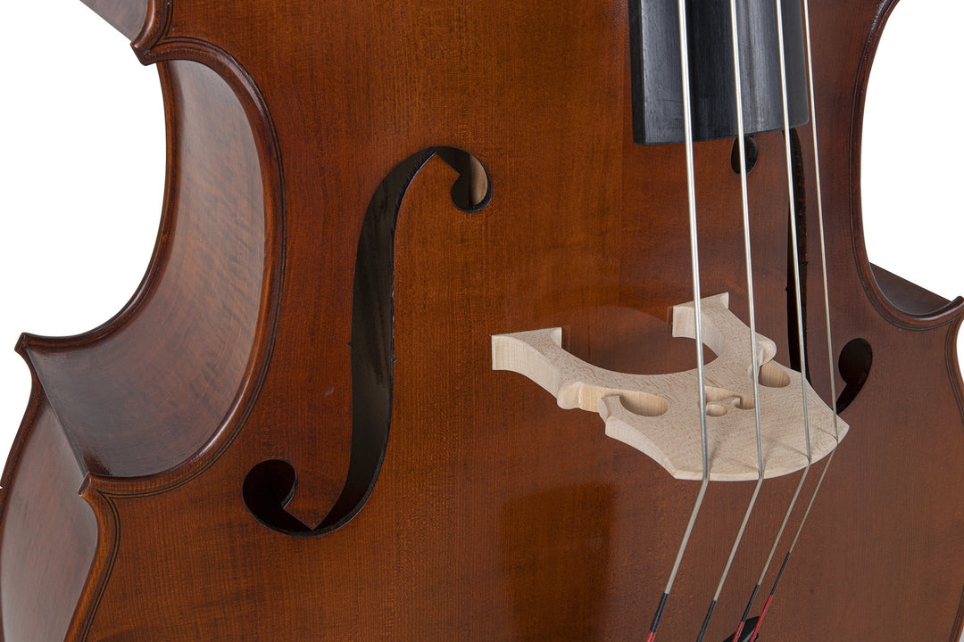 GEWA Kontrabasso Premium Line Semi-solid Model - 3/4 (Set up in the GEWA master workshops)