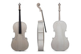 GEWA-lakkaamaton sello 7/8, Stradivari Gore-Booth, parempi liekkikuvio