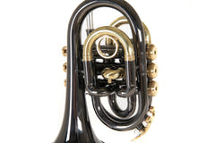 Roy Benson Bb-taskutrumpetti Roy Benson PT-101K - PT-101K
