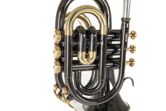 Roy Benson Bb-taskutrumpetti Roy Benson PT-101K - PT-101K