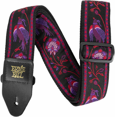 Ernie Ball 5360 Miellyttävä fasaani