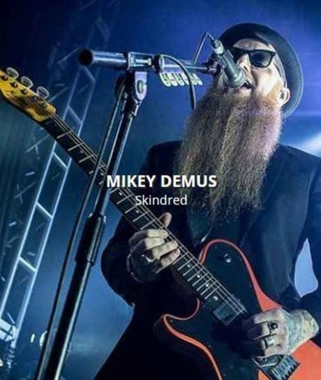 Rotosound MD10 Mikey Demus -signatuurisarja sähkökitaraan 10-54