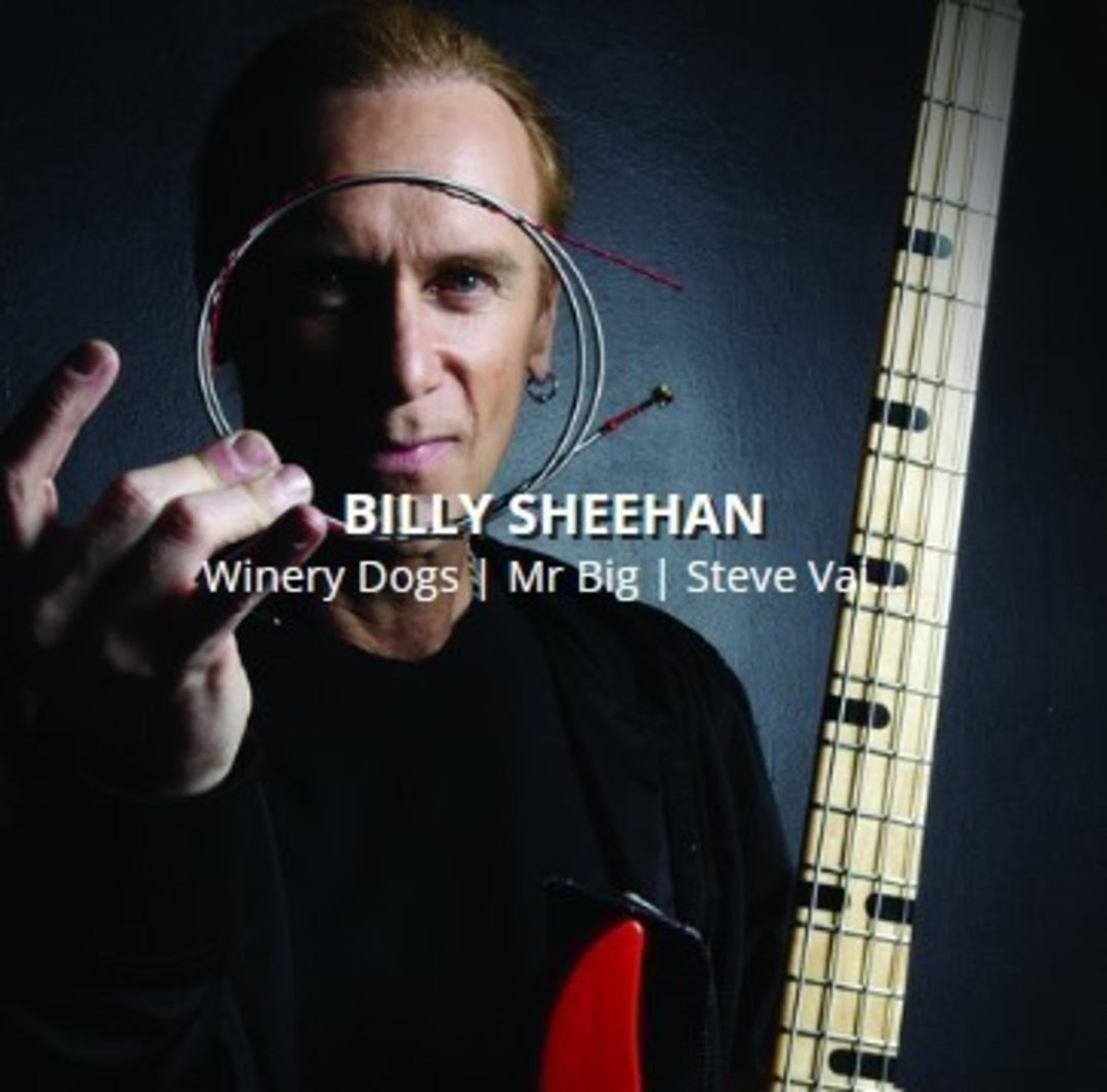 Rotosound-bassokielet Swing Bass 66 - Set 4-string Billy Sheehan Custom 43-110 (BS66)