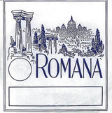 Romana violinstreng D, aluminiumsomviklet