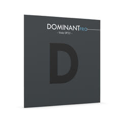 Thomastik-Infeld Kielet alttoviululle DOMINANT PRO - D Synthetic core, Chrome (DP22)