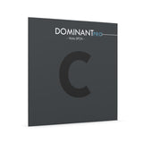 Thomastik-Infeld Strings For Viola DOMINANT PRO - C Synthetic core, Tungsten/Silver (DP24)