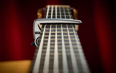 G7th Capo Performance - Classic Kitarat, hopea (C83013)