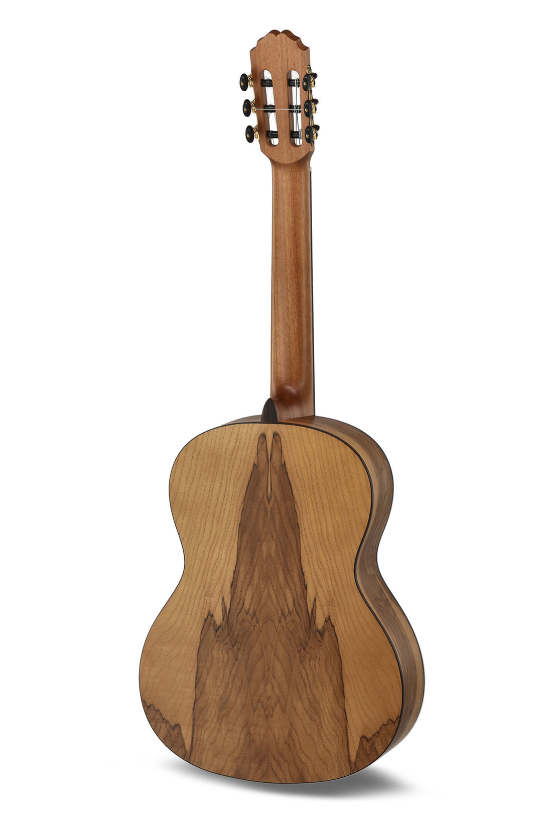 Caballero by MR Principio Series P Olive CA-PMO 120 - Olive (CA-PMO 120)