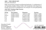 Hannabach Strings for classic guitar Serie 1869 Carbon/Gold MHT - A5 Gold MHT (18695MHT)