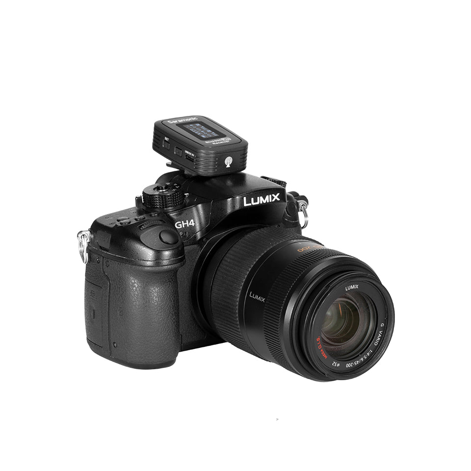 Blink 500 Pro RX-vastaanotin (TRS)