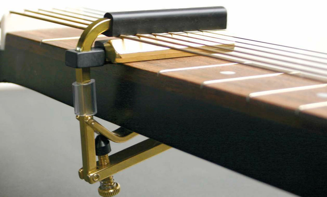 Shubb C6B Dobro Capo (Messinki)