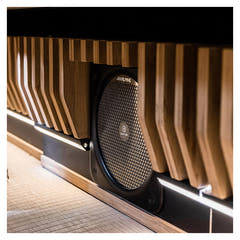 Alpine Adventure Audio -ohjaamon subwoofer