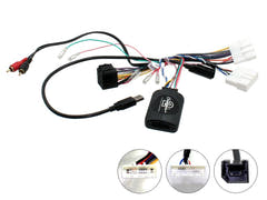 21CTSNS009.2 Interface Nissaniin