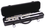 DiMavery QP-10 C Huilu, Hopeoitu