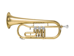 DiMavery FH-310D Bb Flyygelitorvi