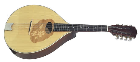 GEWA Mandola Pro Arte - High gloss