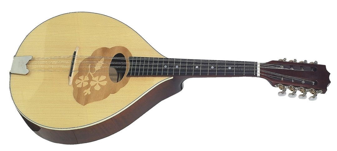 GEWA Mandola Pro Arte - High-kiilto