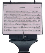 DEG Lyra Flute and Piccolo Flute - 510