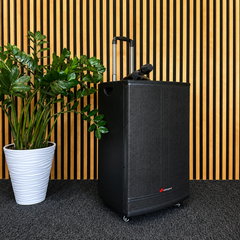 Audioport V15 kannettava aktiivikaiutin 500 W, 2 mikrotonit