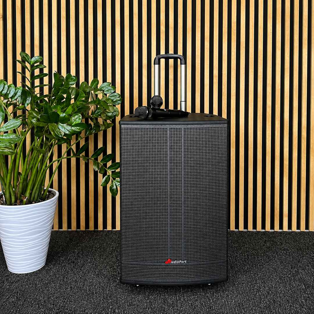 Audioport V15 kannettava aktiivikaiutin 500 W, 2 mikrotonit