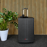 Audioport V15 kannettava aktiivikaiutin 500 W, 2 mikrotonit