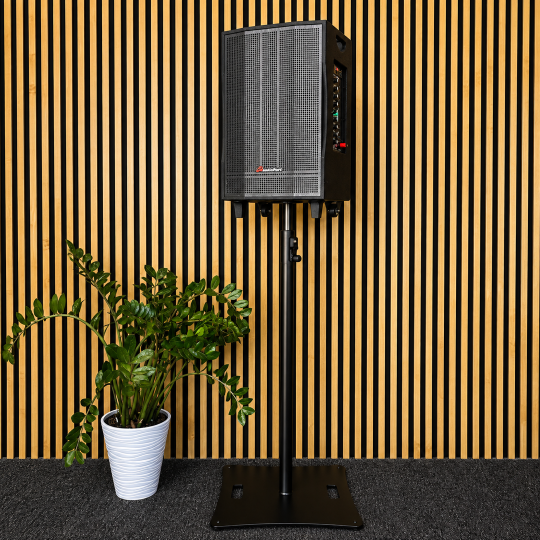 Audioport V15 kannettava aktiivikaiutin 500 W, 2 mikrotonit