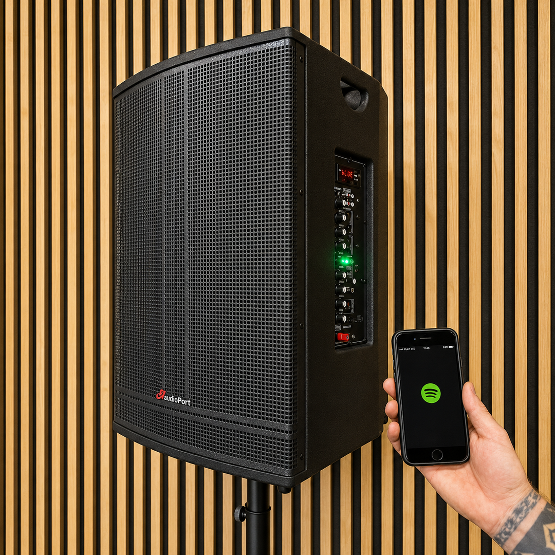 Audioport V15 kannettava aktiivikaiutin 500 W, 2 mikrotonit