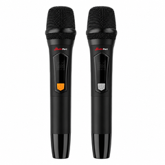 Audioport V15 kannettava aktiivikaiutin 500 W, 2 mikrotonit