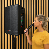 Audioport V15 kannettava aktiivikaiutin 500 W, 2 mikrotonit