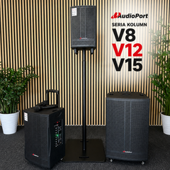 Audioport V15 kannettava aktiivikaiutin 500 W, 2 mikrotonit