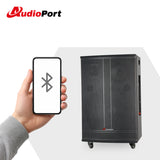 Audioport V15 kannettava aktiivikaiutin 500 W, 2 mikrotonit