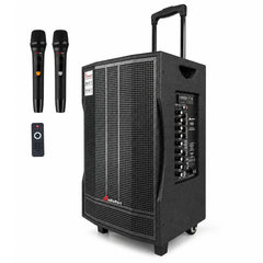 Audioport V12 kannettava aktiivikaiutin 350 W, 2 mikrofonia
