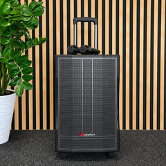 Audioport V12 kannettava aktiivikaiutin 350 W, 2 mikrofonia