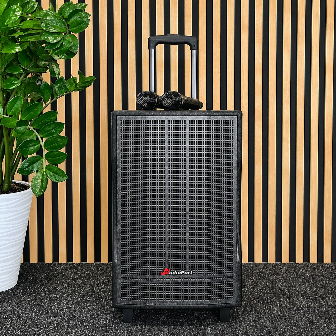 Audioport V12 kannettava aktiivikaiutin 350 W, 2 mikrofonia