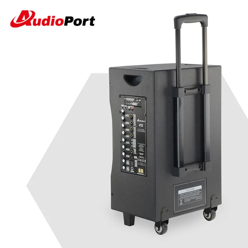 Audioport V12 kannettava aktiivikaiutin 350 W, 2 mikrofonia