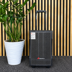 Audioport V8 kannettava aktiivikaiutin 250 W, 2 mikrofonia