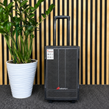 Audioport V8 kannettava aktiivikaiutin 250 W, 2 mikrofonia