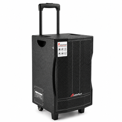 Audioport V8 kannettava aktiivikaiutin 250 W, 2 mikrofonia