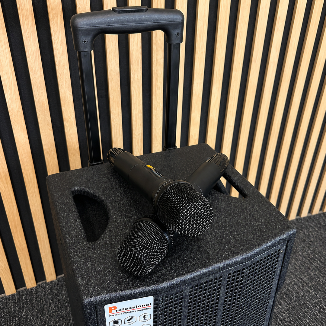 Audioport V8 kannettava aktiivikaiutin 250 W, 2 mikrofonia