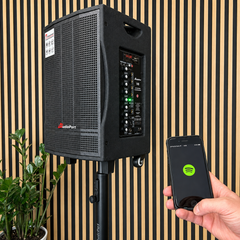 Audioport V8 kannettava aktiivikaiutin 250 W, 2 mikrofonia