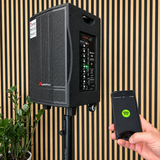 Audioport V8 kannettava aktiivikaiutin 250 W, 2 mikrofonia