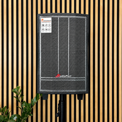 Audioport V8 kannettava aktiivikaiutin 250 W, 2 mikrofonia