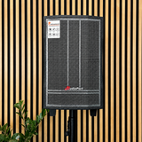 Audioport V8 kannettava aktiivikaiutin 250 W, 2 mikrofonia