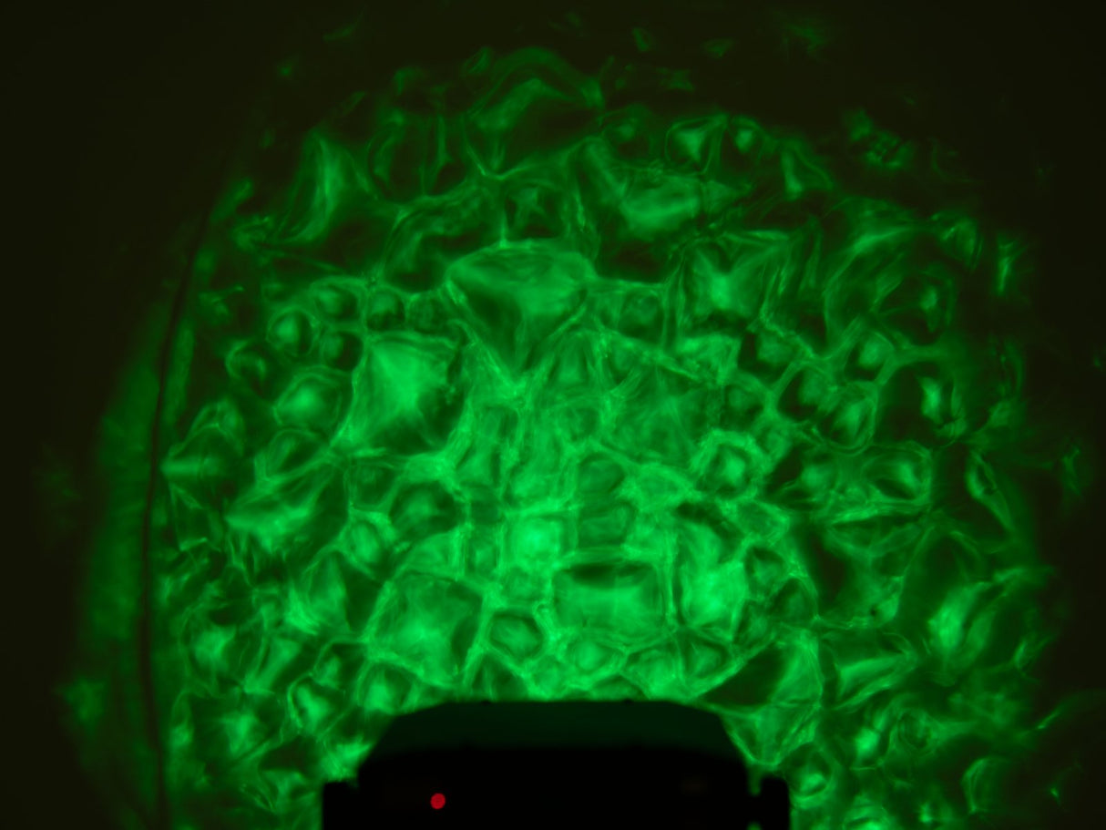 Eurolite WF-30 H2O-efekti (DMX)