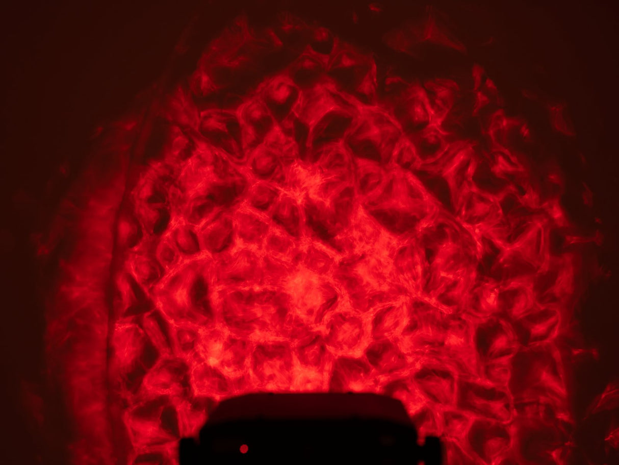 Eurolite WF-30 H2O-efekti (DMX)