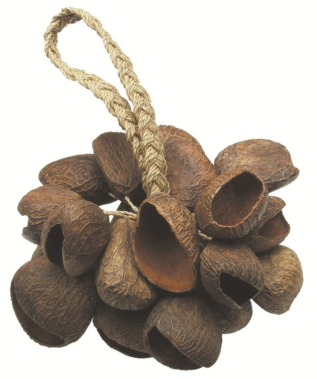 Toca Seed Shell -shaker (T-SS)