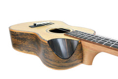 Reno RU380CE Konsertti Ukulelet (Luonnonväri)
