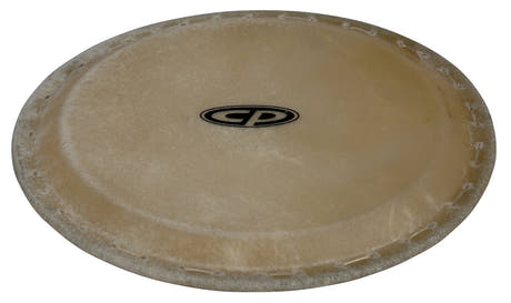 Latin Pundistussoittimet Conga head CP EZ Curve Rims - 10" (CP636B)