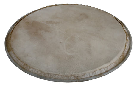 Latin Pundistussoittimet Pää Plenera - 12" (WB505C)