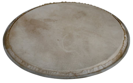 Latin Pundistussoittimet Pundistussoittimet head Plenera - 8" (WB505A)